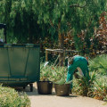 Collaborating With Landscapers And Tree Services In Pembroke Pines For A Carnivorous Plant Paradise