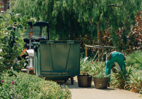 Collaborating With Landscapers And Tree Services In Pembroke Pines For A Carnivorous Plant Paradise